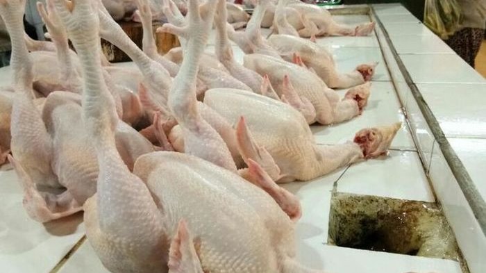 Harga Pangan Jumat 28 Juli : Daging Ayam hingga Gula Pasir Stabil